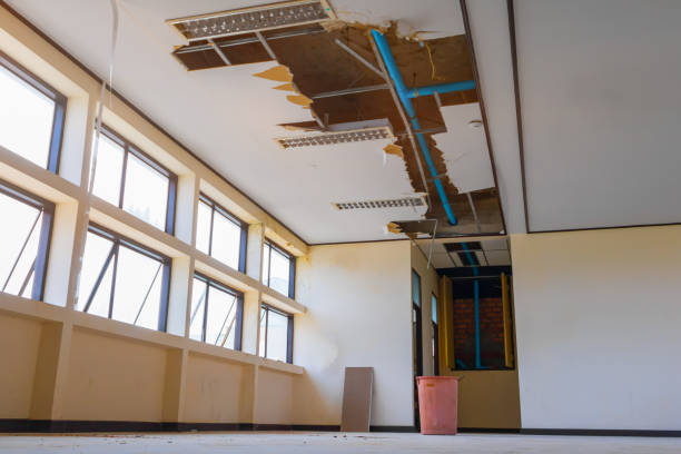 Best Water damage cleanup near me  in Stanton, TX