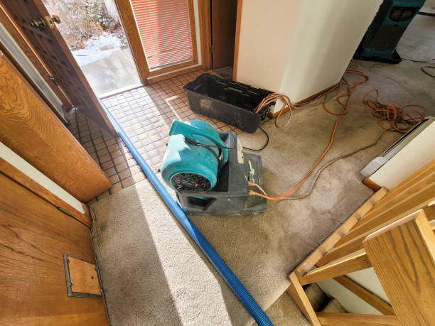 Best Local water damage restoration  in Stanton, TX