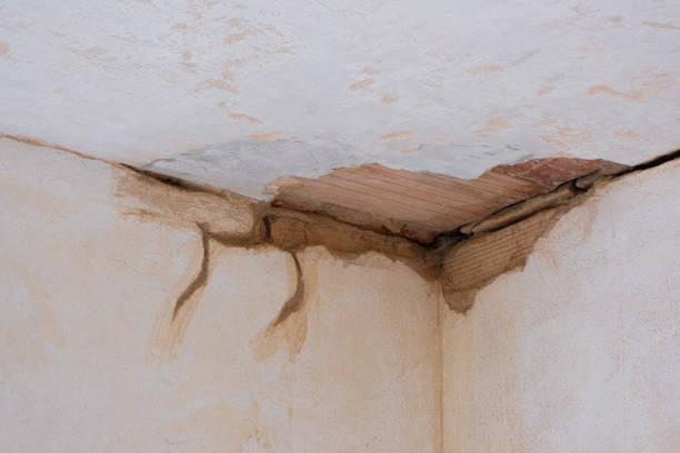 Best Local water damage restoration  in Stanton, TX