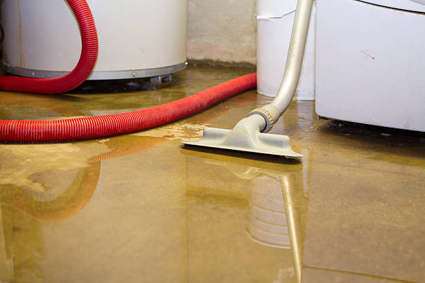 Best 24/7 water damage repair  in Stanton, TX