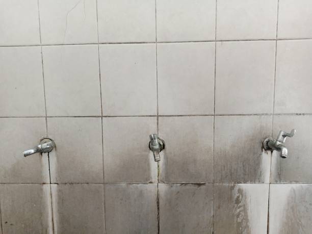 Best Flood damage cleanup  in Stanton, TX
