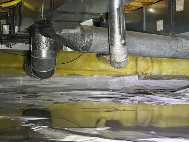 Best Water damage restoration near me  in Stanton, TX