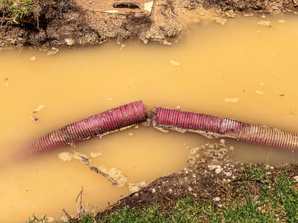 Best Local water damage restoration  in Stanton, TX